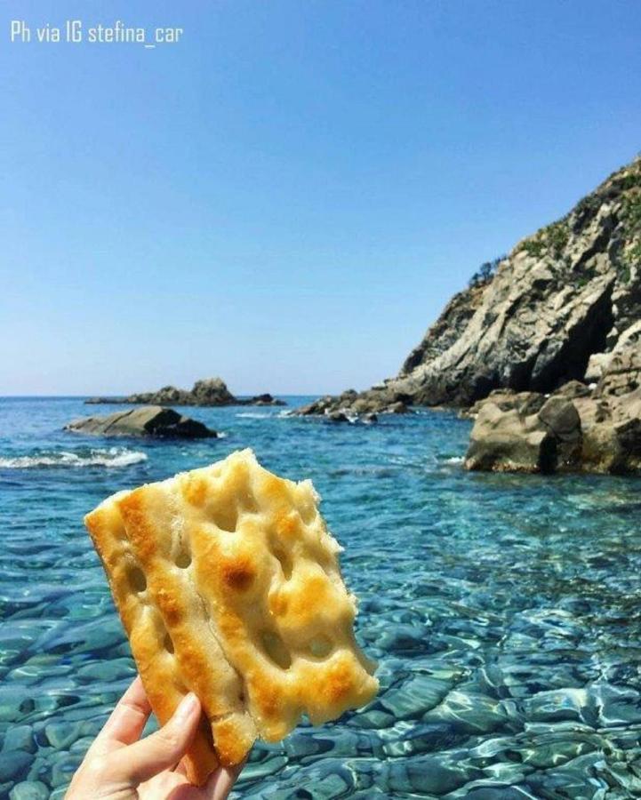 Feluca