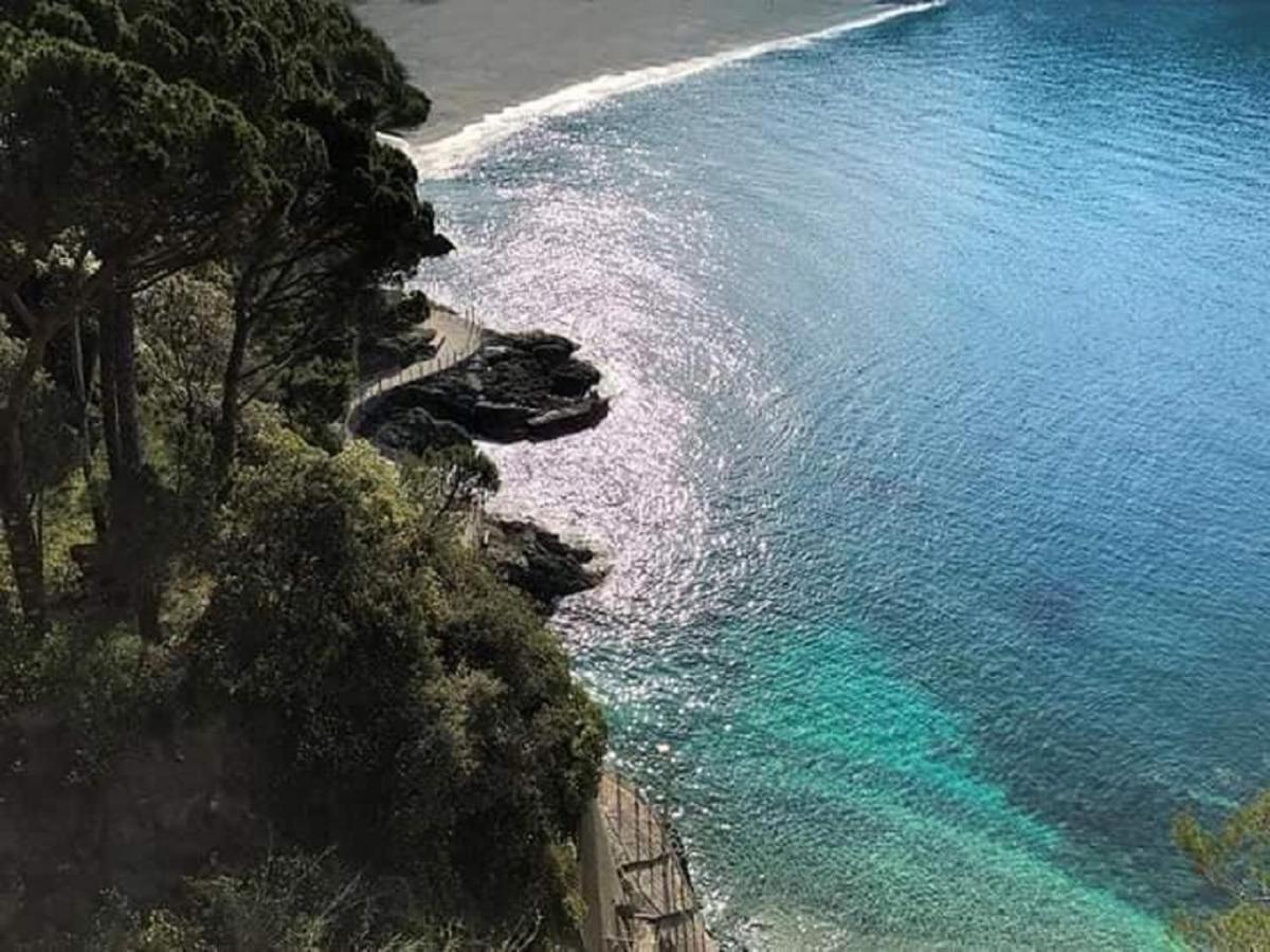 Feluca 3* Bonassola