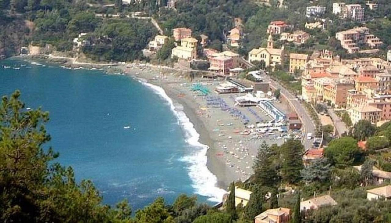 Feluca 3* Bonassola