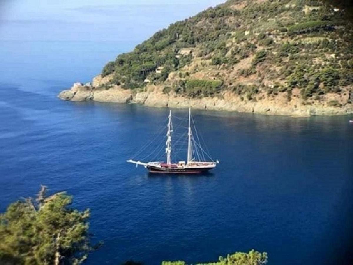 Feluca 3* Bonassola
